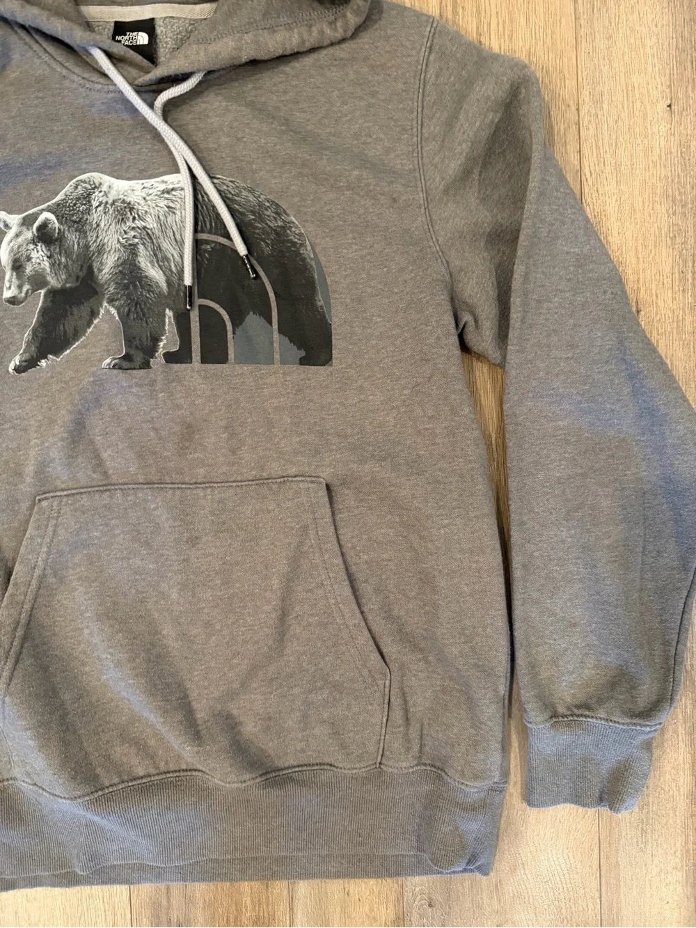 The North Face Men’s Gray Bear Graphic Pullover Hoodie
